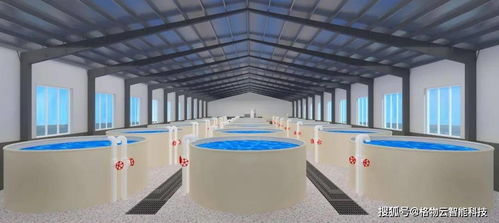 智慧水產 網絡科技如何重塑現代養殖模式