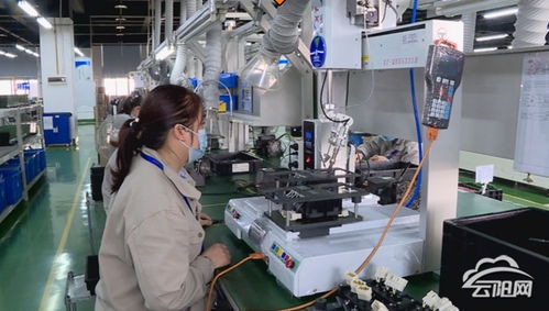 覃昌德率隊赴拉薩、成都考察 深化文旅融合，推動招商引資與電子產品研發銷售新突破